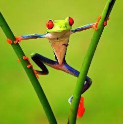 CWR Life Management / For Private Use Only